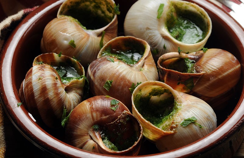 Combien De Temps Pour Réchauffer Des Escargots